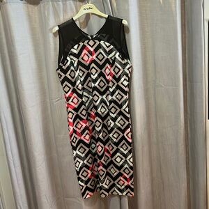 NWT Evoke dress